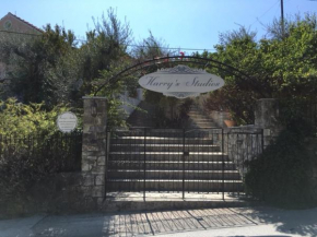  Harry's Studios 1  Гайос